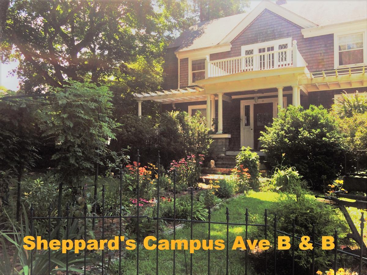 Sheppard'S Campus B&B Kingston Esterno foto